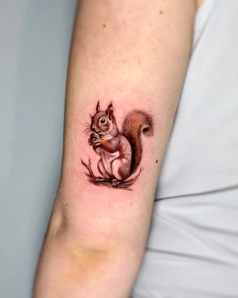Tiny Realistic Acorn Squirrel Tattoo